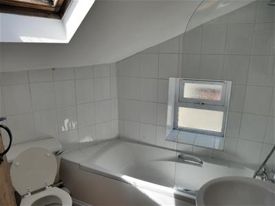Picture 11